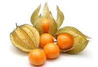 Golden Berry (Physalis)