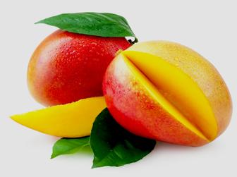Mangoes Mangoes
